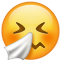 Whatsapp 🤧 Sneezing Emoji