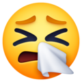 Facebook 🤧 Sneezing Emoji