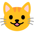 Google 😺 Smiley Cat Emoji