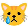 Google 😿 Crying Cat Emoji