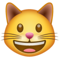 Whatsapp 😺 Smiley Cat Emoji