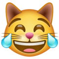 Whatsapp 😹 Cat Laughing Emoji