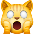 Facebook 🙀 Shocked Cat Emoji